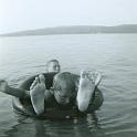 1963 Summers, John  Bruce 1963